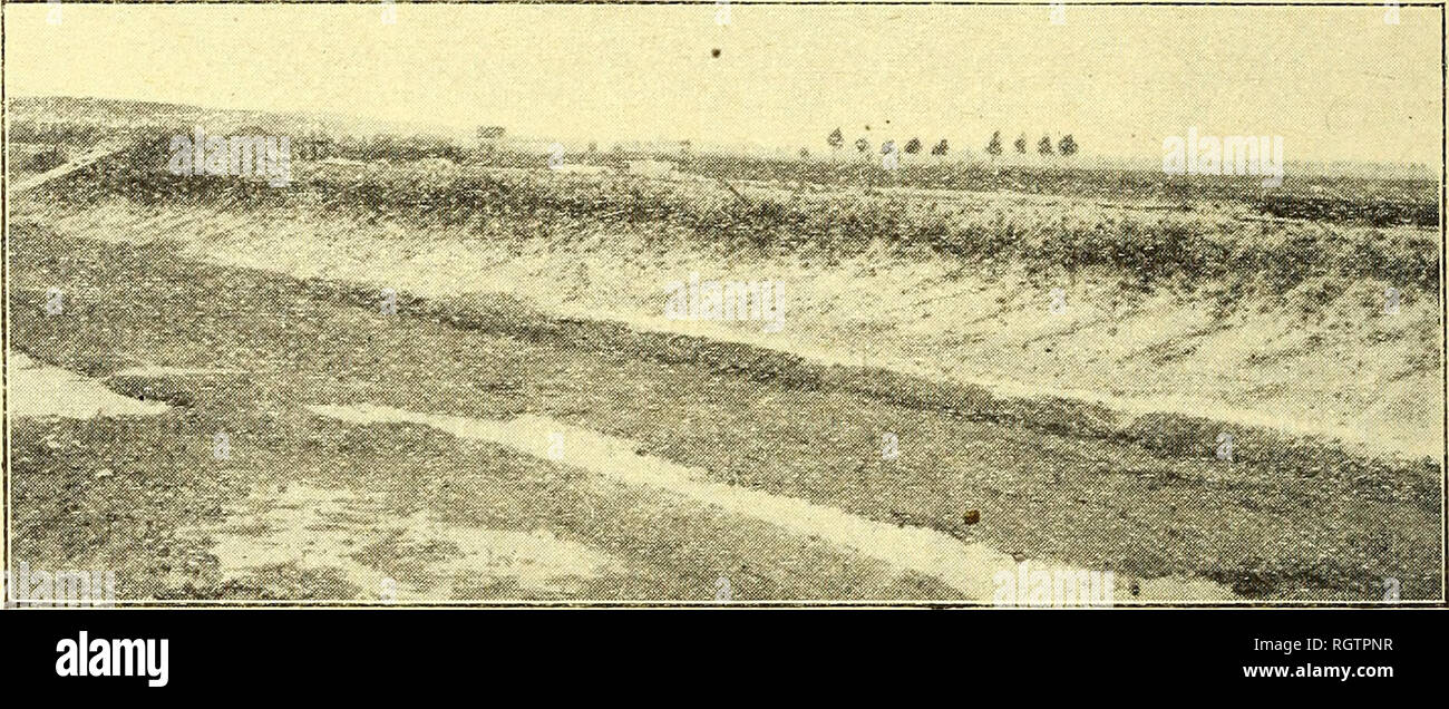 . Bulletin de la Société belge de géologie, de paléontologie et d'hydrologie. Geology; Paleontology. â 20 â à un endroit où le banc de tourbe avait disparu emporté par l'érosion de la rivière. Encore une fois nous avons ici un travail dû à la main de l'homme, qui nous fait songer à des pieds pour installer des cabanes on des plates-formes, comme on l'a observé en Hollande, et que nous serions devant un travail inachevé. Nous supposons que ces travaux sont protohistoriques, sans pouvoir certifier leur âge archéologique. in. â Notre troisième observation se place dans le polder d'E Stock Photo
