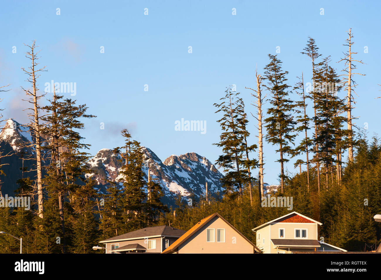 New houses adjacent the wildlands of the Tongass National Forest near
