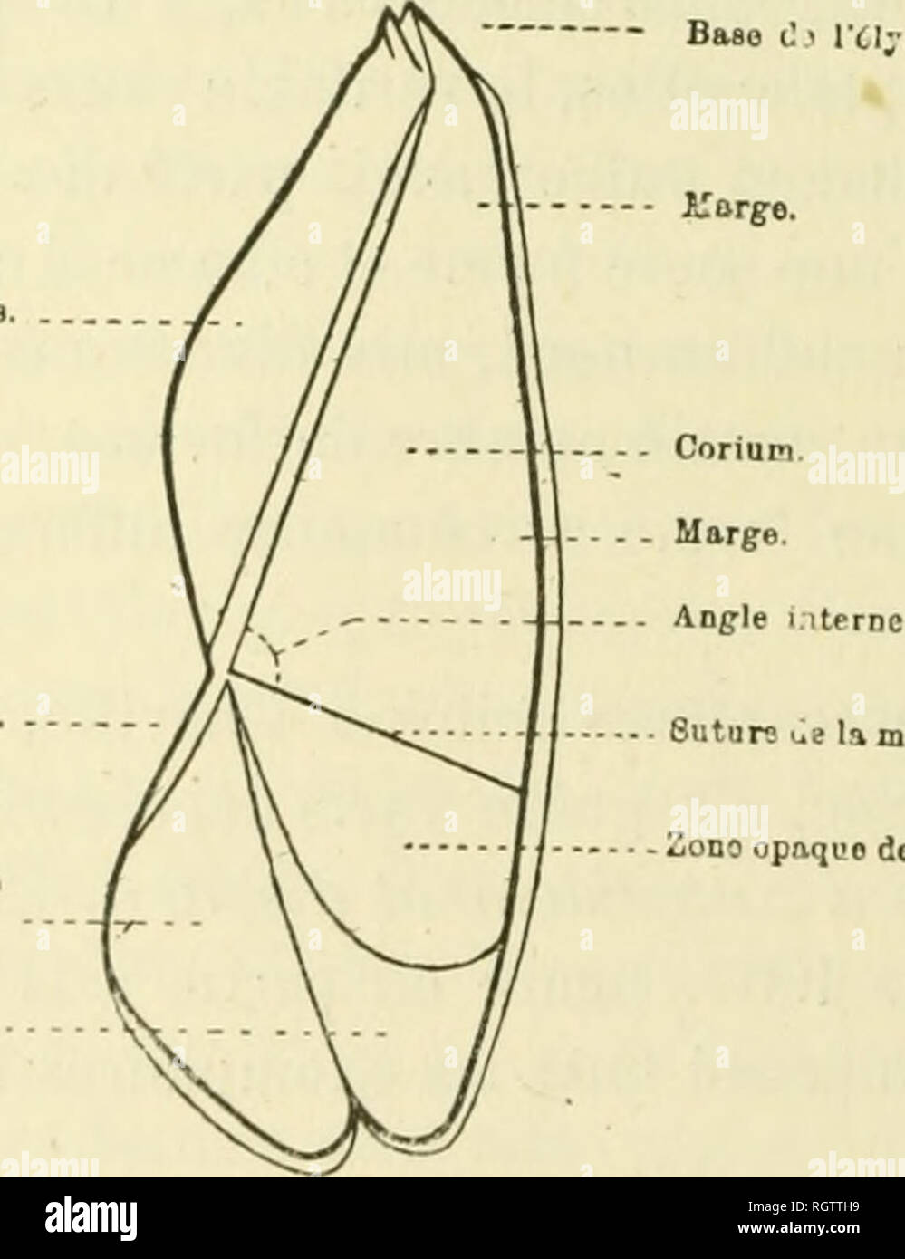montre à gousset 18ème siècle
