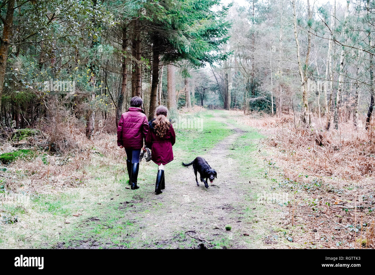 Sisters walking with family dog in the New Forest. Hampshire, United Kingdom Stock Photo