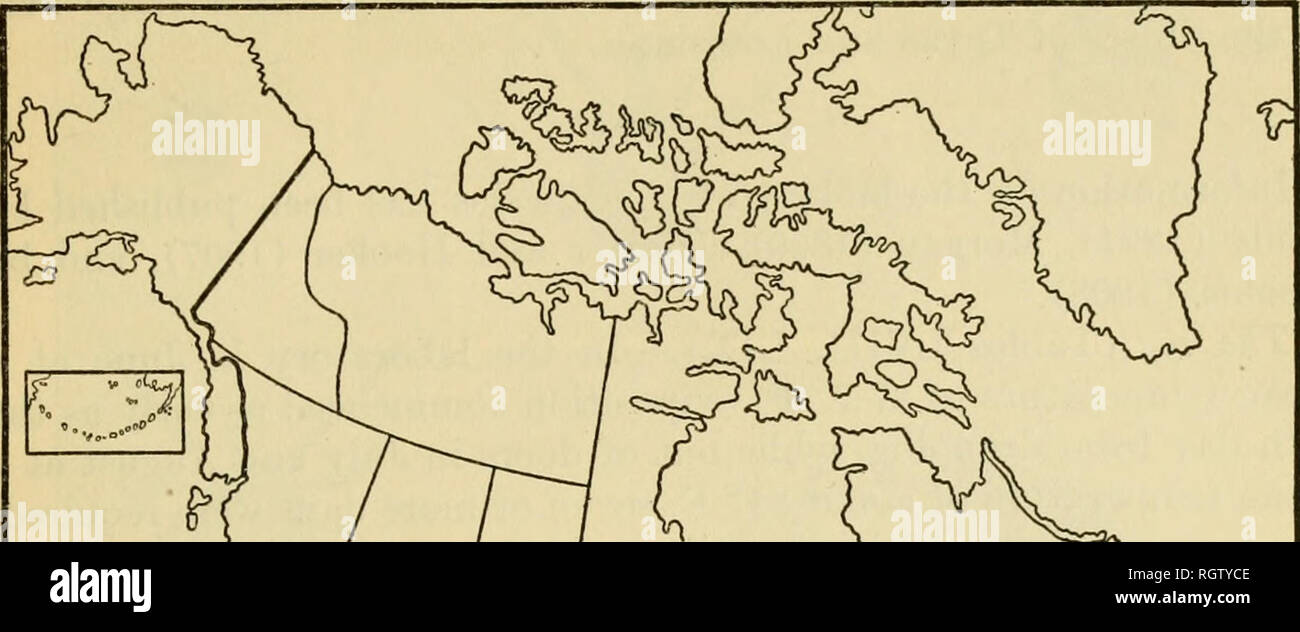. Bulletin. Insects; Insect pests; Entomology; Insects; Insect pests; Entomology. THE LONE STAR TICK. 143 of the United States, largely in Texas, the frequency of occurrence on different hosts was as follows: Dog 23, cattle 11, man 9, horse 9, deer 4, goat 3, peccary 2, hog 2, mule 2, skunk 2, sheep 1, wolf 1, fox. ^. Please note that these images are extracted from scanned page images that may have been digitally enhanced for readability - coloration and appearance of these illustrations may not perfectly resemble the original work.. United States. Bureau of Entomology. Washington : G. P. O. Stock Photo