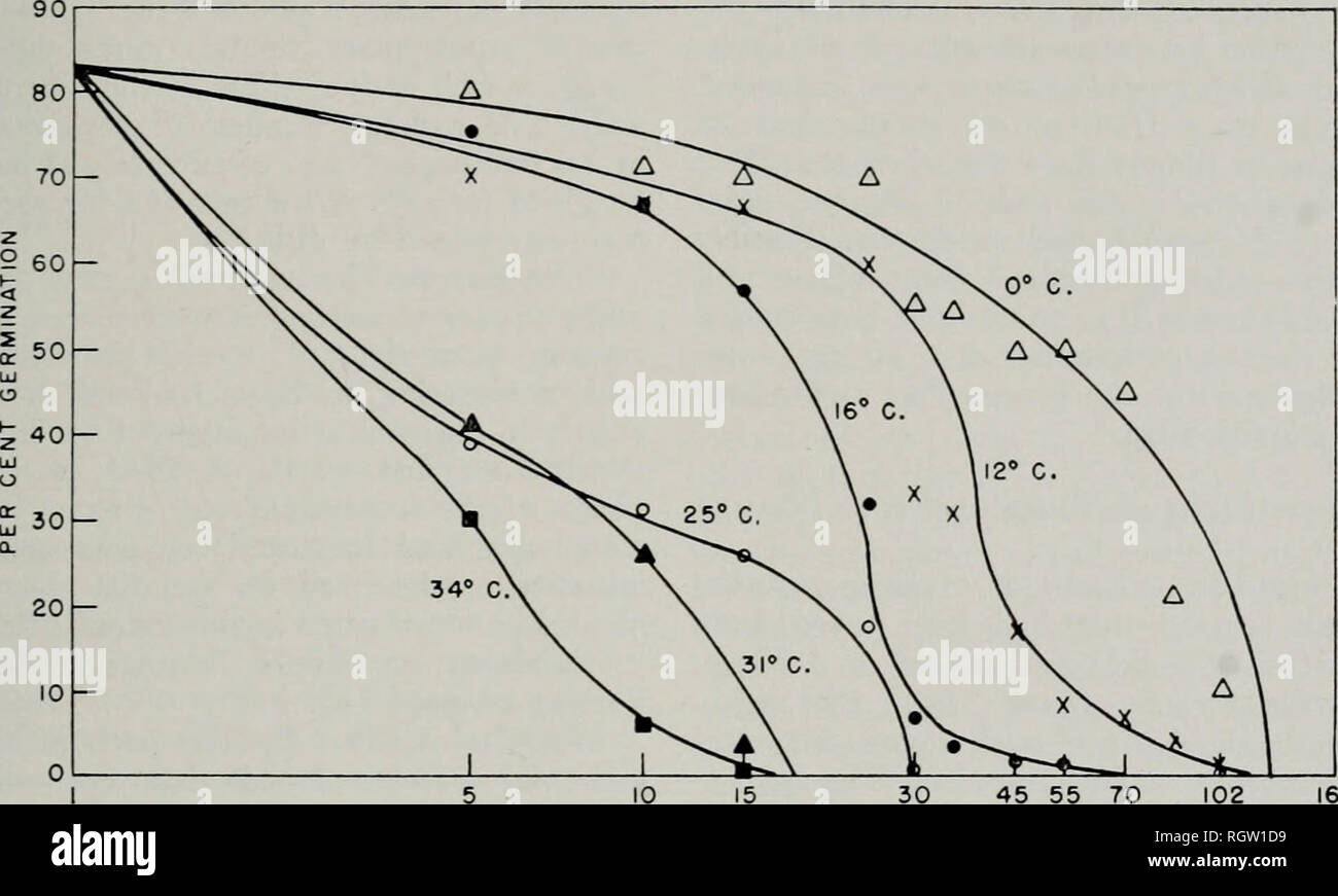 . Bulletin. Natural history; Natural history. June, 1955 Curl: Oak Wilt Inocula 295 table 7. Spores in the dry atmosphere were still viable after 250 days at 0, 12, and 16 degrees, table 8. The gcrminabil- ity of conidia from both the humid and the dry atmospheres decreased with time at all temperatures, figs. 10 and 11. When the longevity and germinability of spores stored in a dry atmosphere were plotted (number of days on a logarithmic scale), the decrease in germinability of. 10 15 TIME (DAYS) 45 55 162 Fig. 10.—Germination of conidia of Endoconidiophora fagacearum stored at six tempera- t Stock Photo