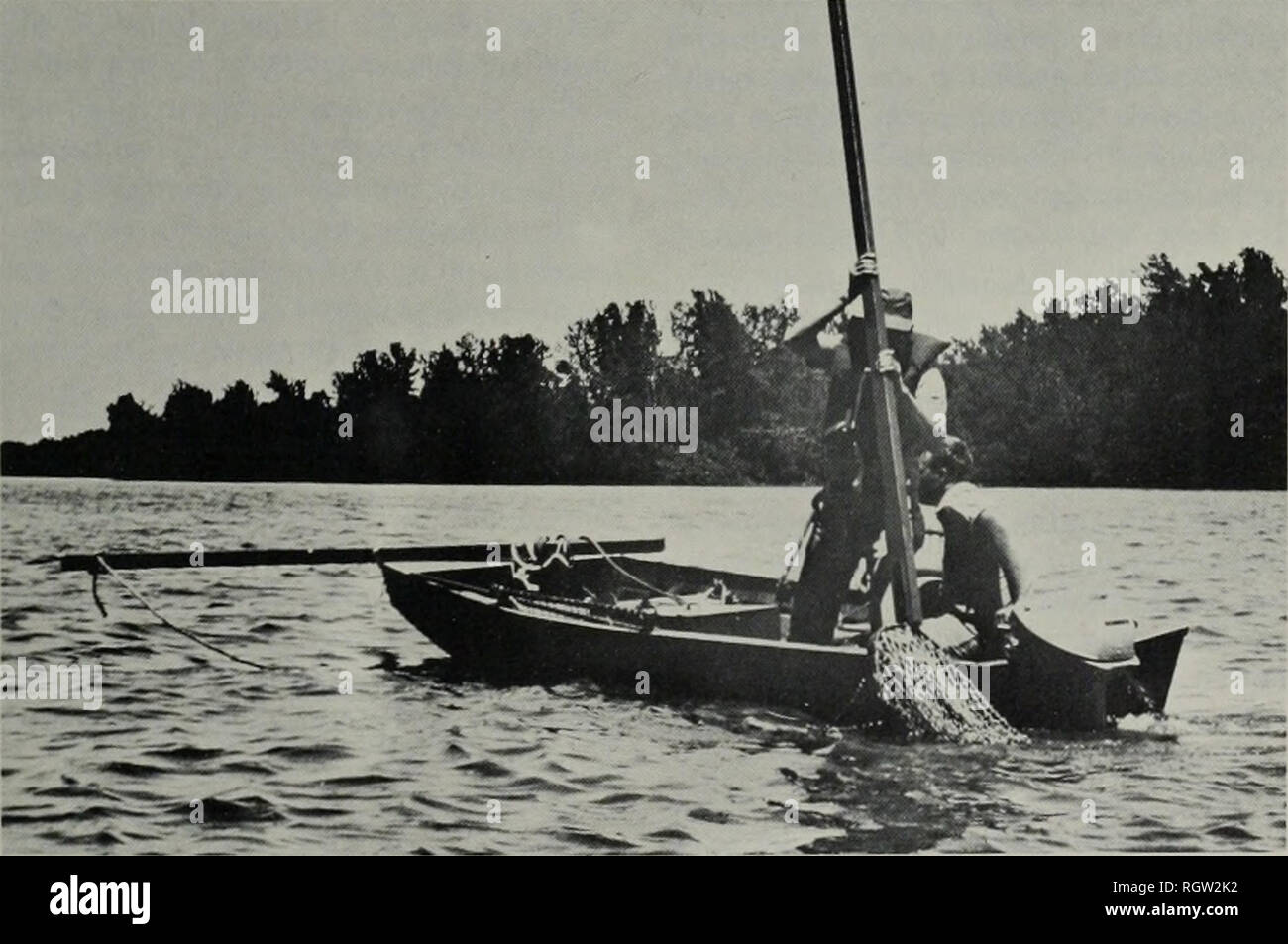 . Bulletin. Natural history; Natural history. Feb., 1971 Starrett: Mussels of the Illinois River 283 rope or bridle attached to the two curv^ed sides of the hoop leads to a single rope secured to the bow of the boat. When the water is rather deep, the boats are fitted with a boom pole extending forward from the bow, and the rope from the bridle is fastened to its end, thus giving greater length of rope and conven- ience of manipulation. Driven by a gasoline engine of from 4 to 20 horsepower, according to the size and weight of the dip net, the boat draws the apparatus through the water along t Stock Photo