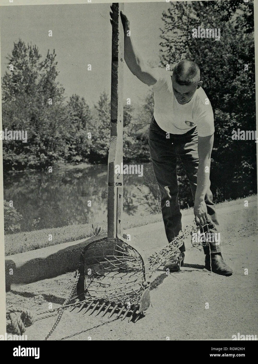 Bulletin Natural History Natural History 2 Illinois Natural History Survey Bulletin Vol 30 Art 5 Of One Piece Bent Somewhat Tri Angular In Form With Two Of Its Sides Curved Outward