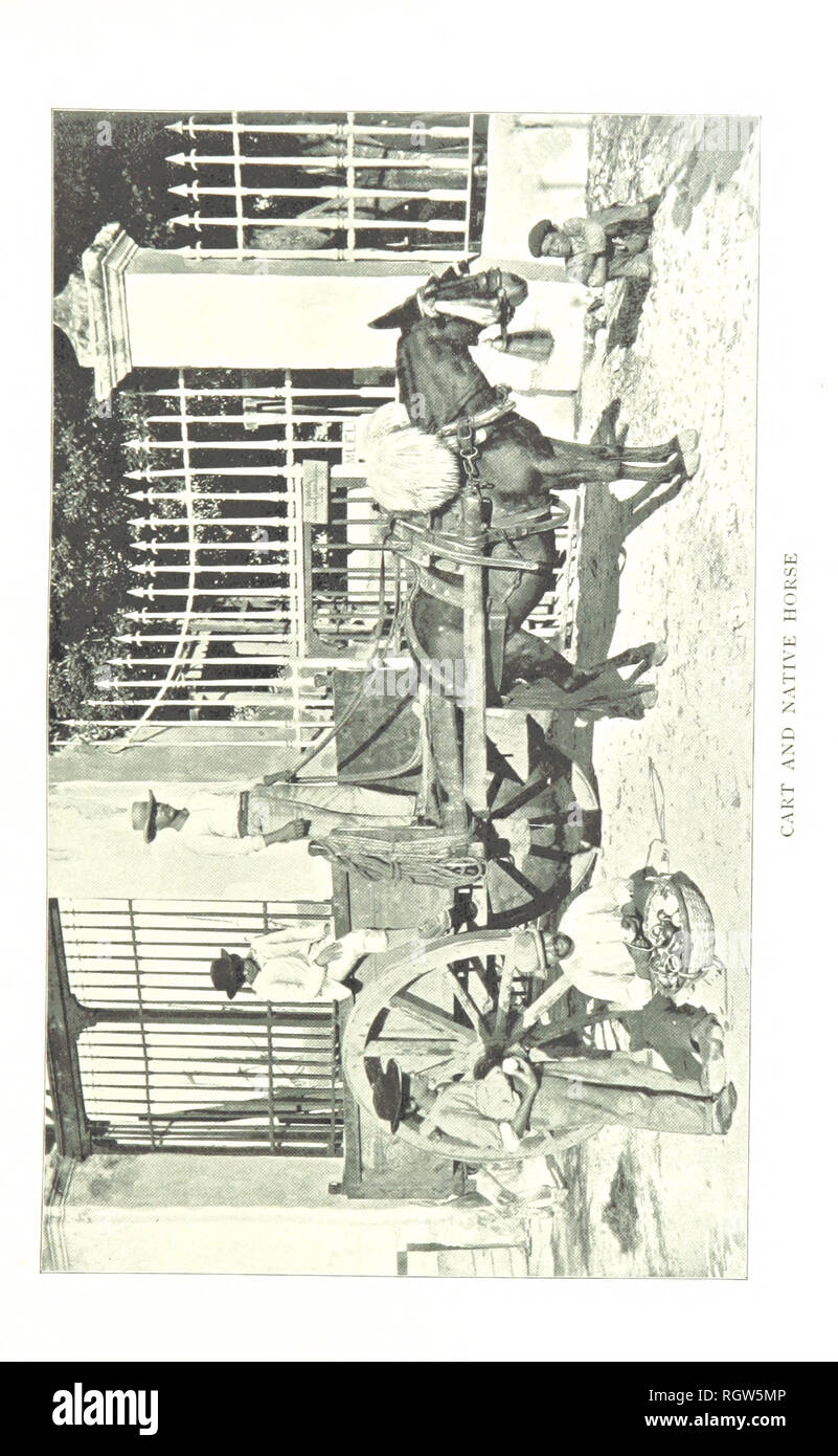 Vintage pop art retro illustration Cut Out Stock Images & Pictures - Alamy