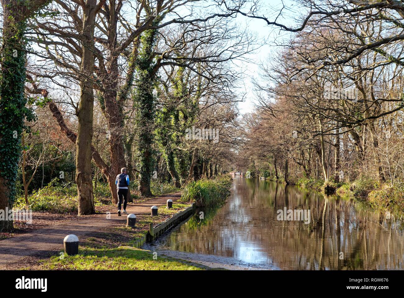 Single male jogger on the towpath by the Basingstoke canal at New Haw