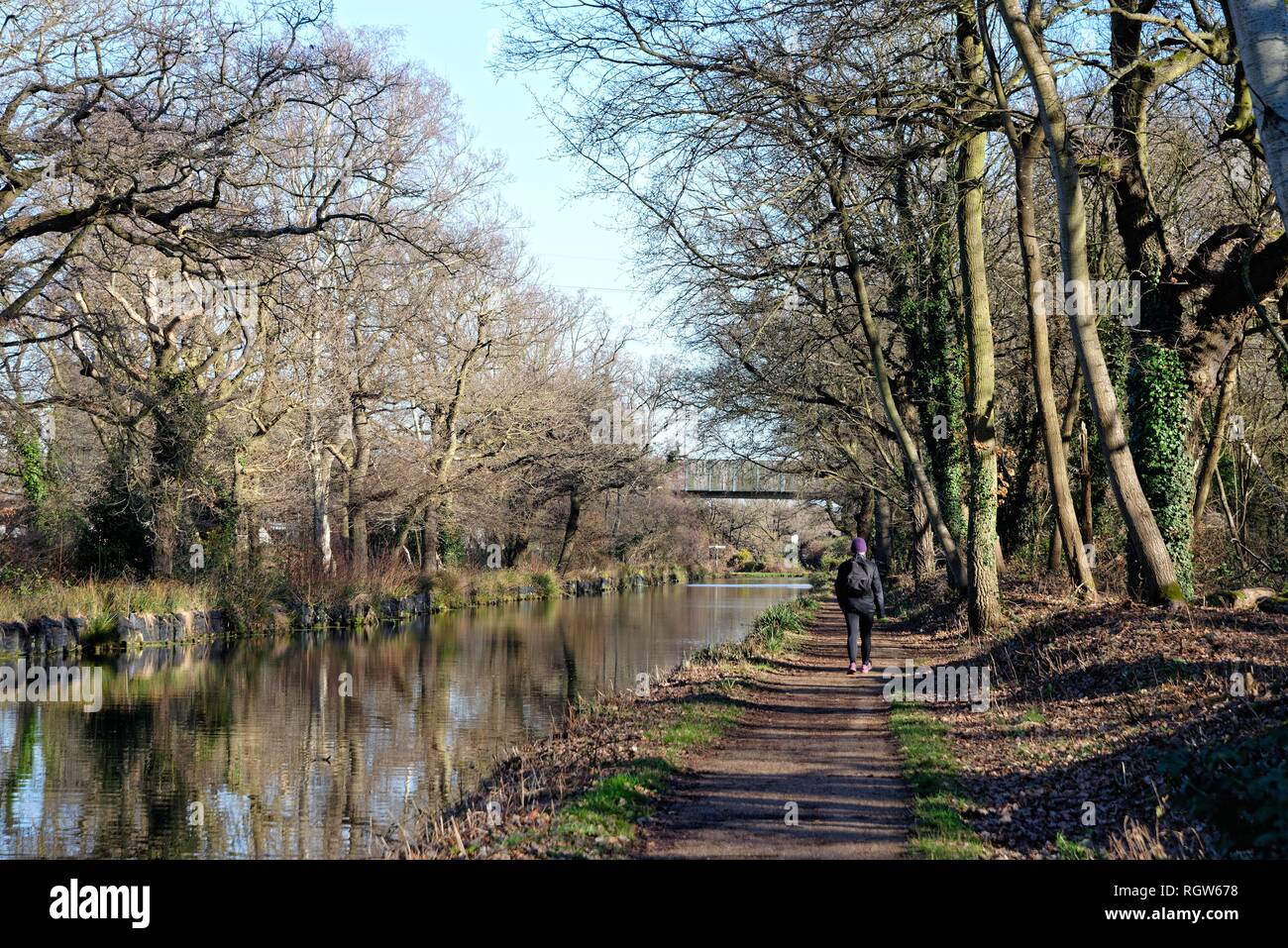 Single female walking by the Basingstoke canal at New Haw on a sunny