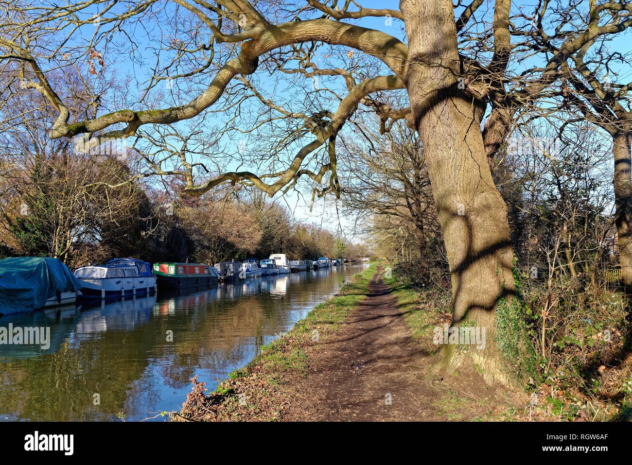 The River Wey navigation and canal at New Haw on a sunny winters day