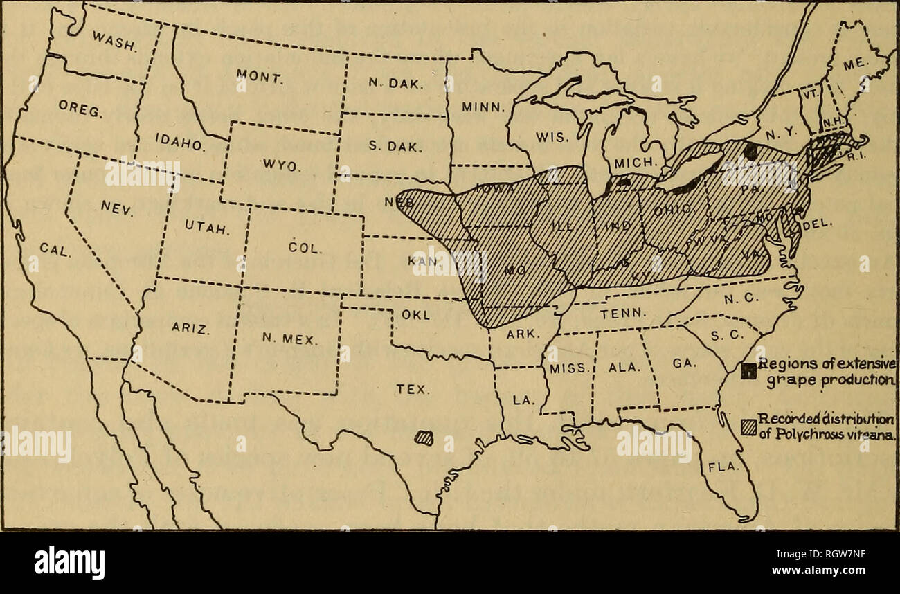 Bulletin Insects Insect Pests Entomology Insects Insect Pests Entomology 20 Deciduous Fruit Insects And Insecticides As Follows Ohio New York Pennsylvania Indiana Illinois Michi Gan Missouri New Jersey Virginia Maryland West