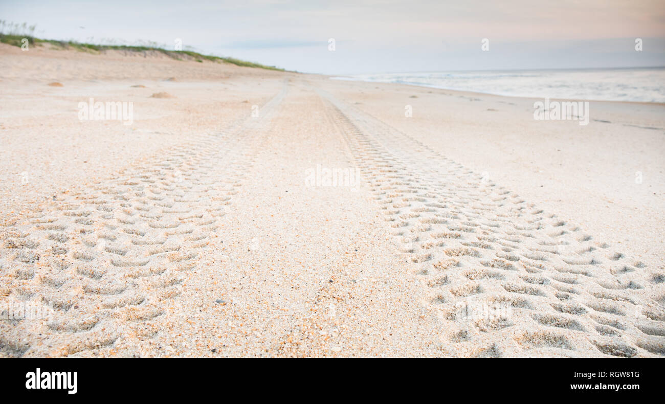 Tire tread marks in the sand leading off into the distance on the beach. Stock Photo