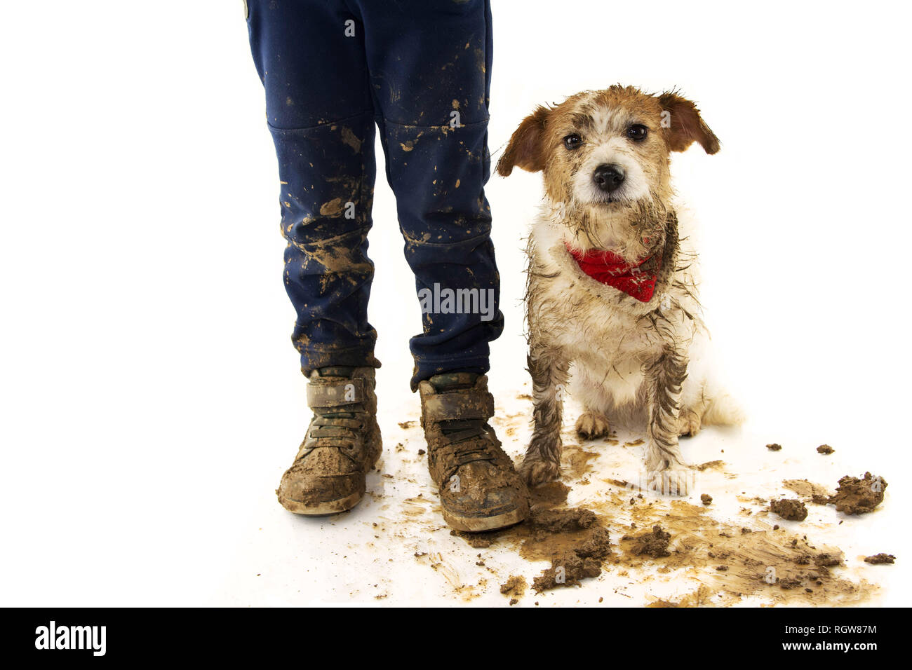 dog mud boots