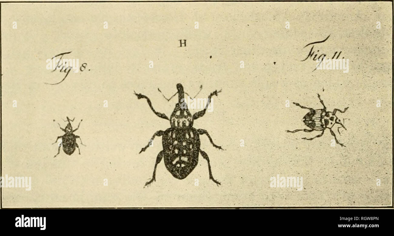 Percicious Insects . Bulletin. Insects; Insect pests; Entomology; Insects; Insect pests ...