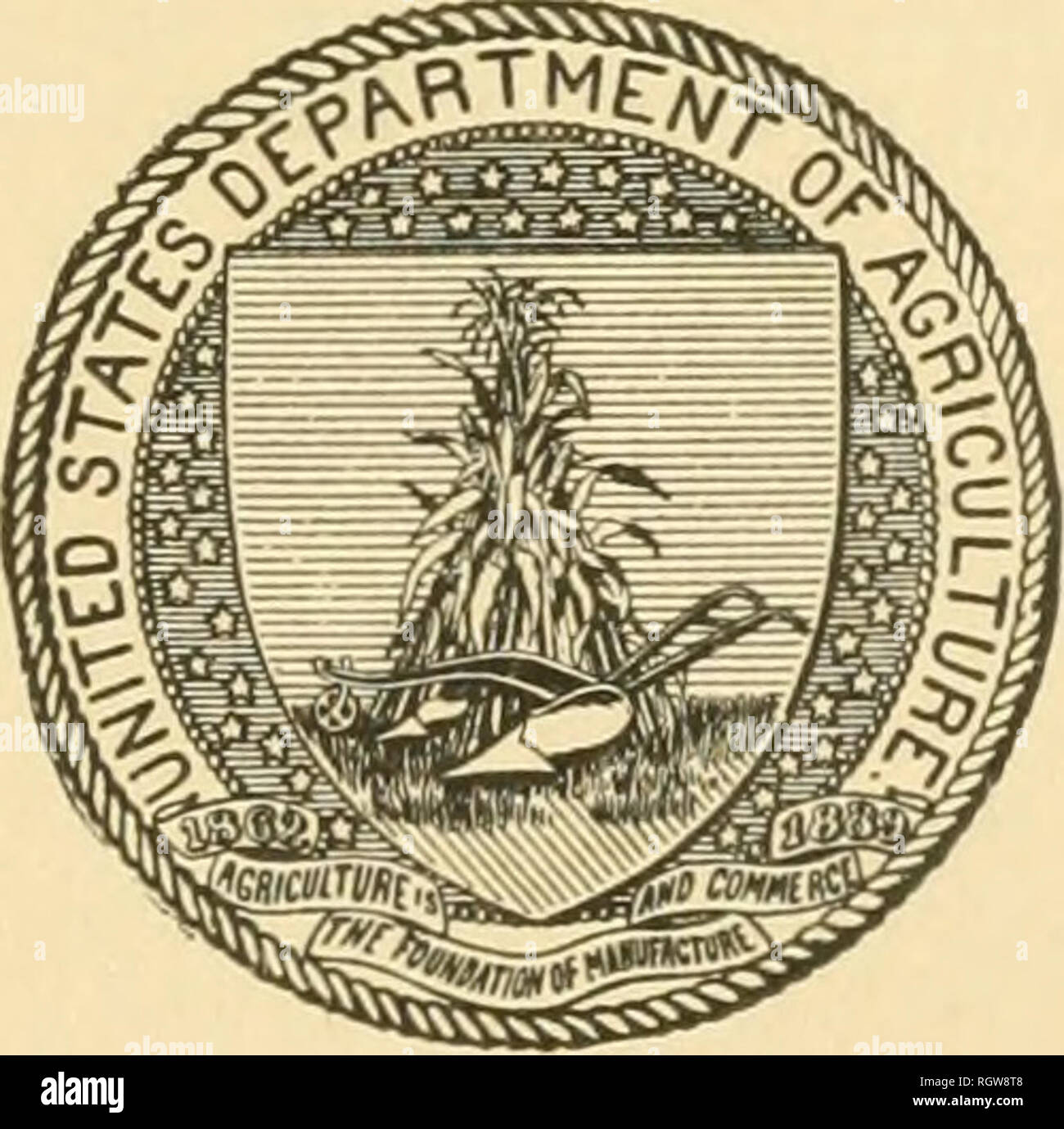 Bean pod borer hi-res stock photography and images - Alamy