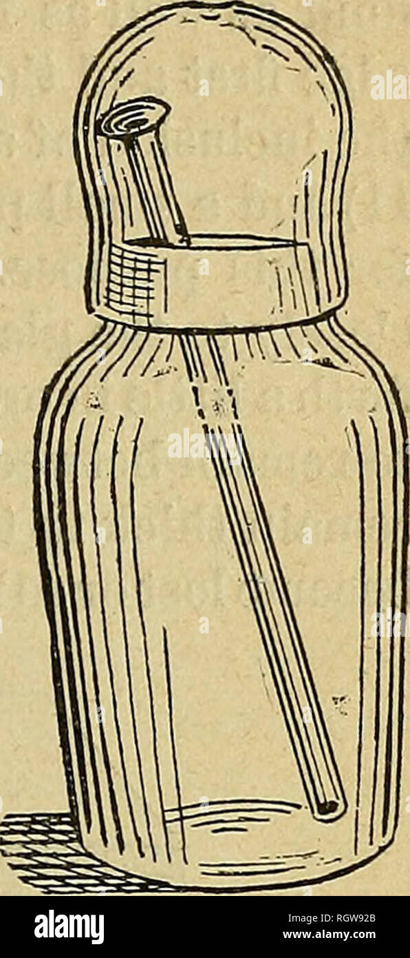 Bulletin United States National Museum Science Fig 10 Balsam