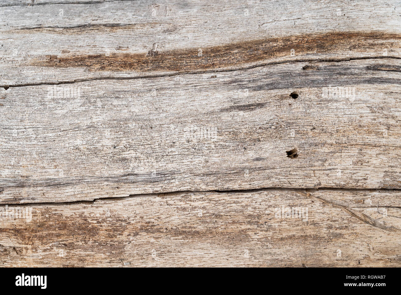 Texture of the old pine boards with cracks Stock Photo Alamy