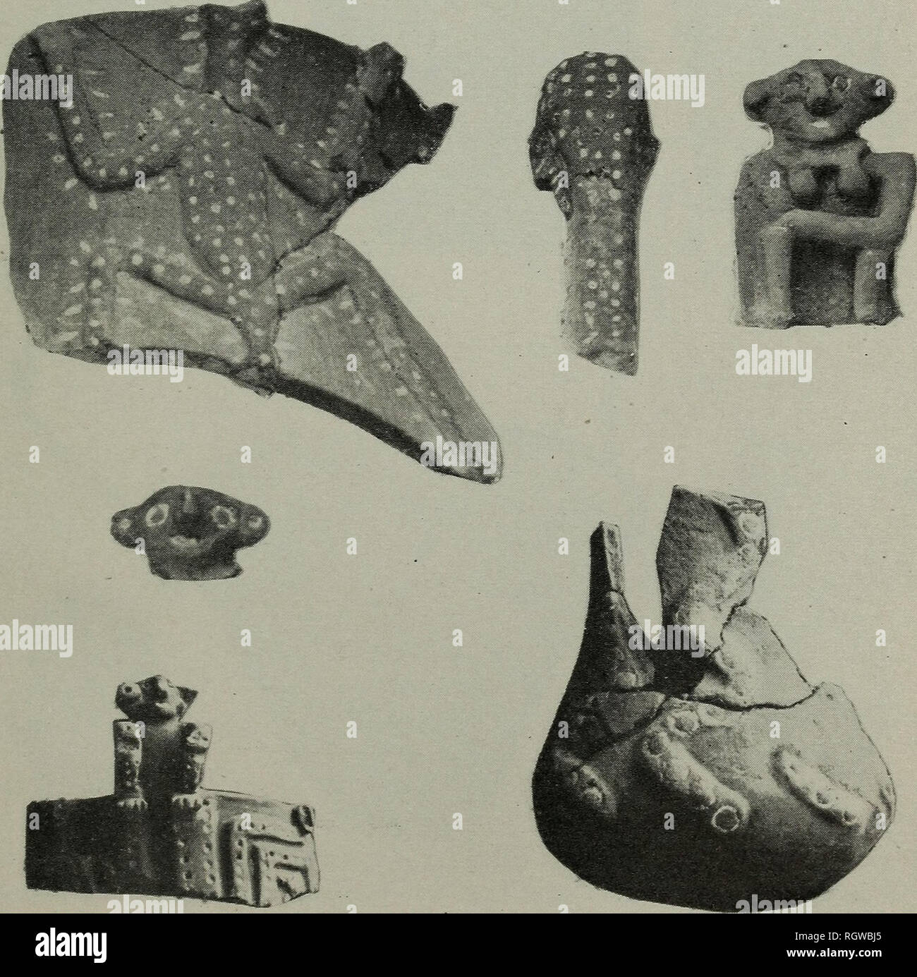 Bulletin Ethnology Plate 175 Tierradentro Tomb And Ceramics