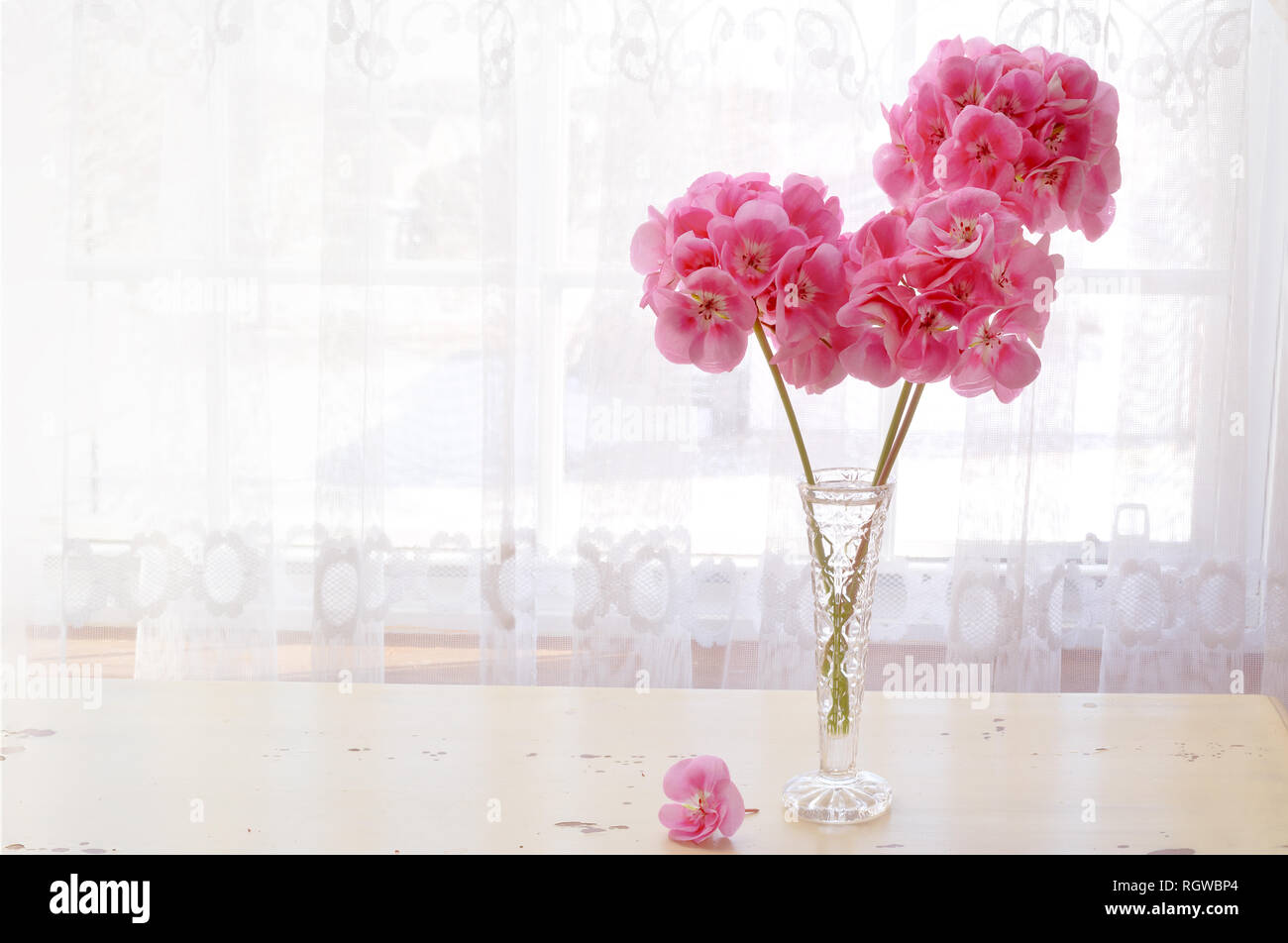 Pink curtain hires stock photography and images Alamy