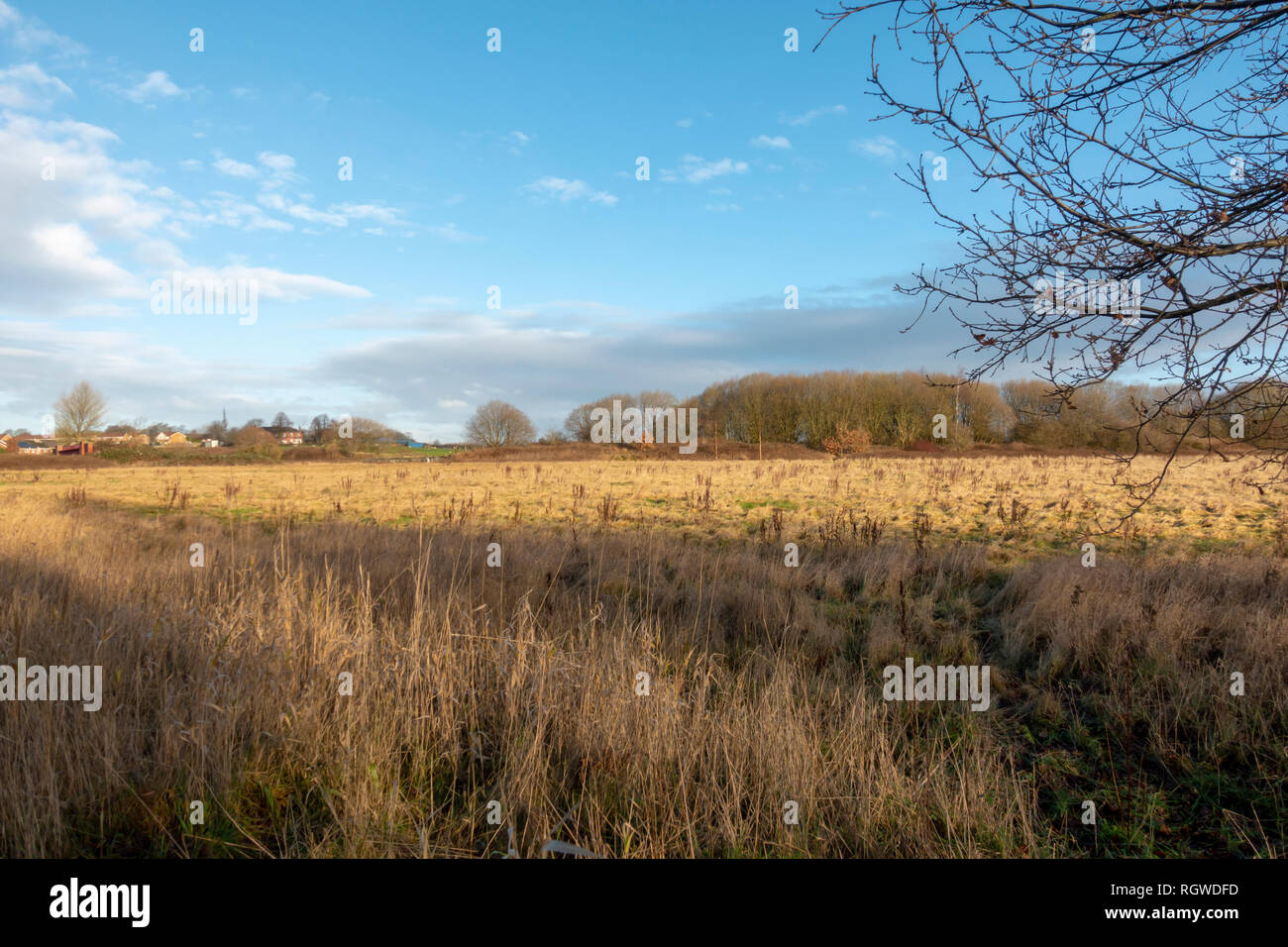 Greenbelt Land in Bury, earmarked for housing development. Stock Photo