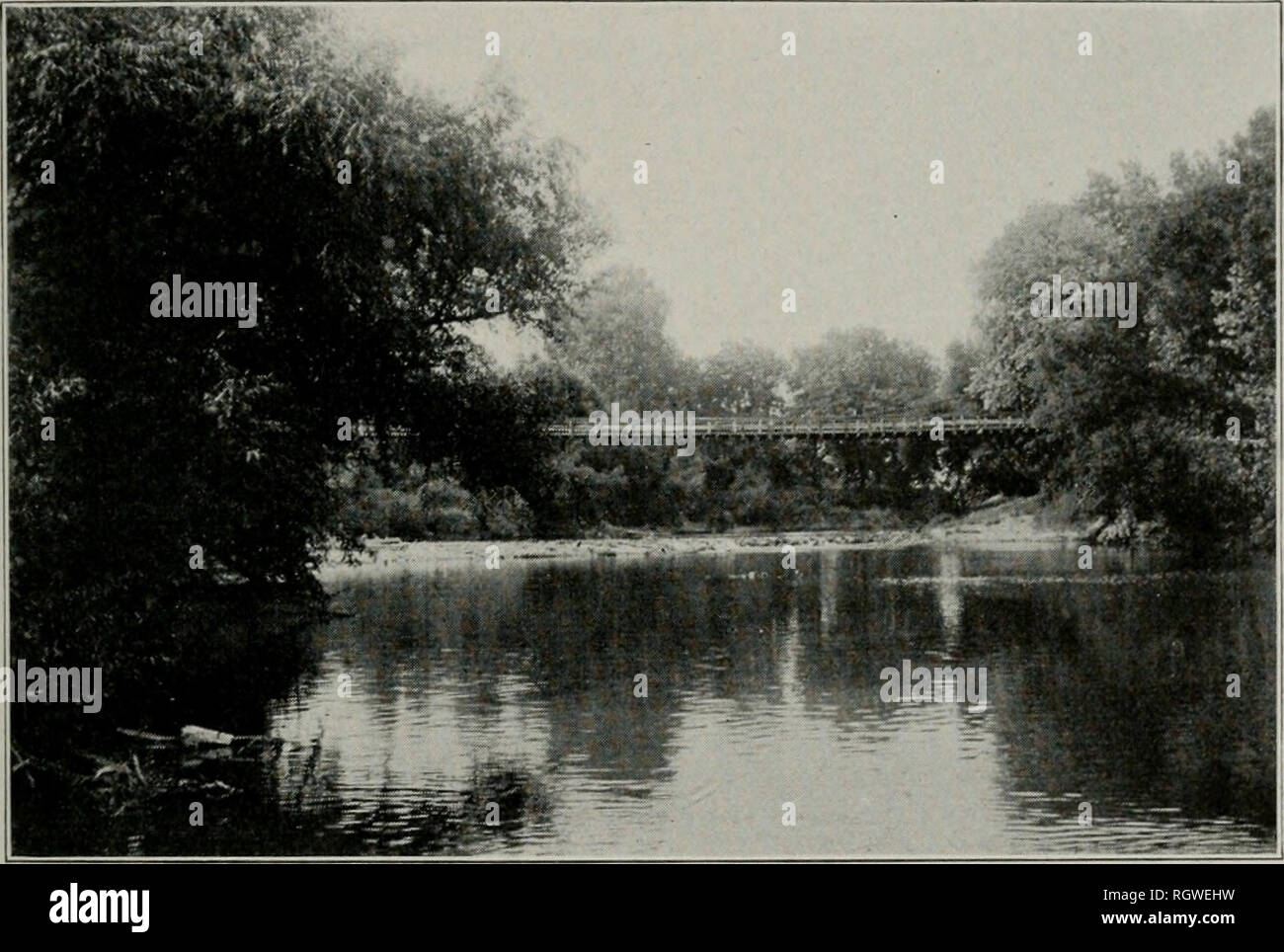 . Bulletin. Natural history; Natural history. LUCE SURVEY OF THE