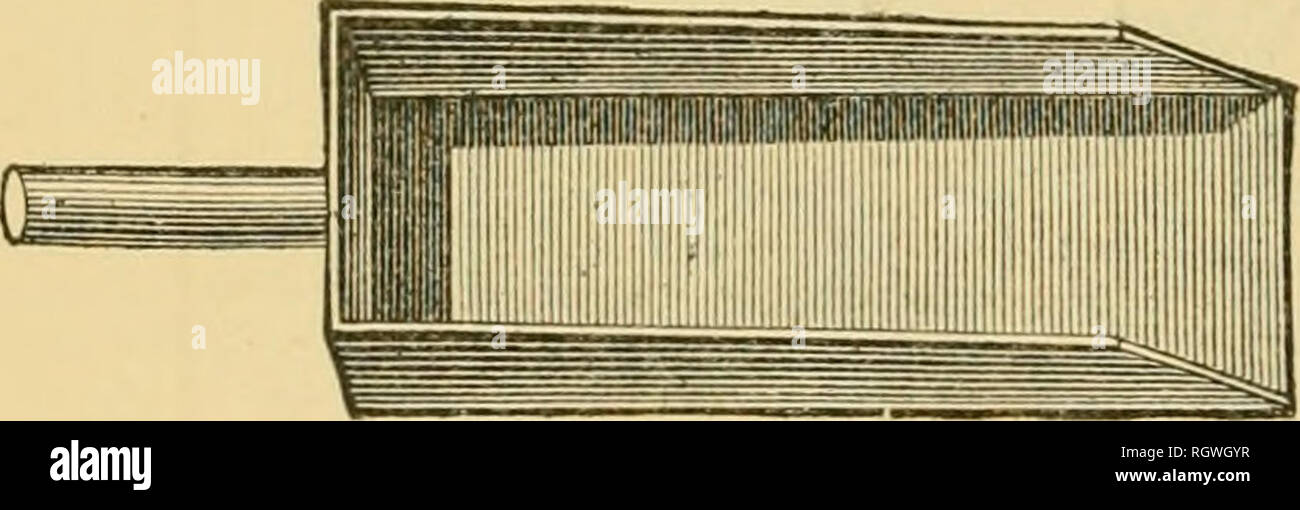 . Bulletin. Insects; Insect pests; Entomology; Insects; Insect pests ...