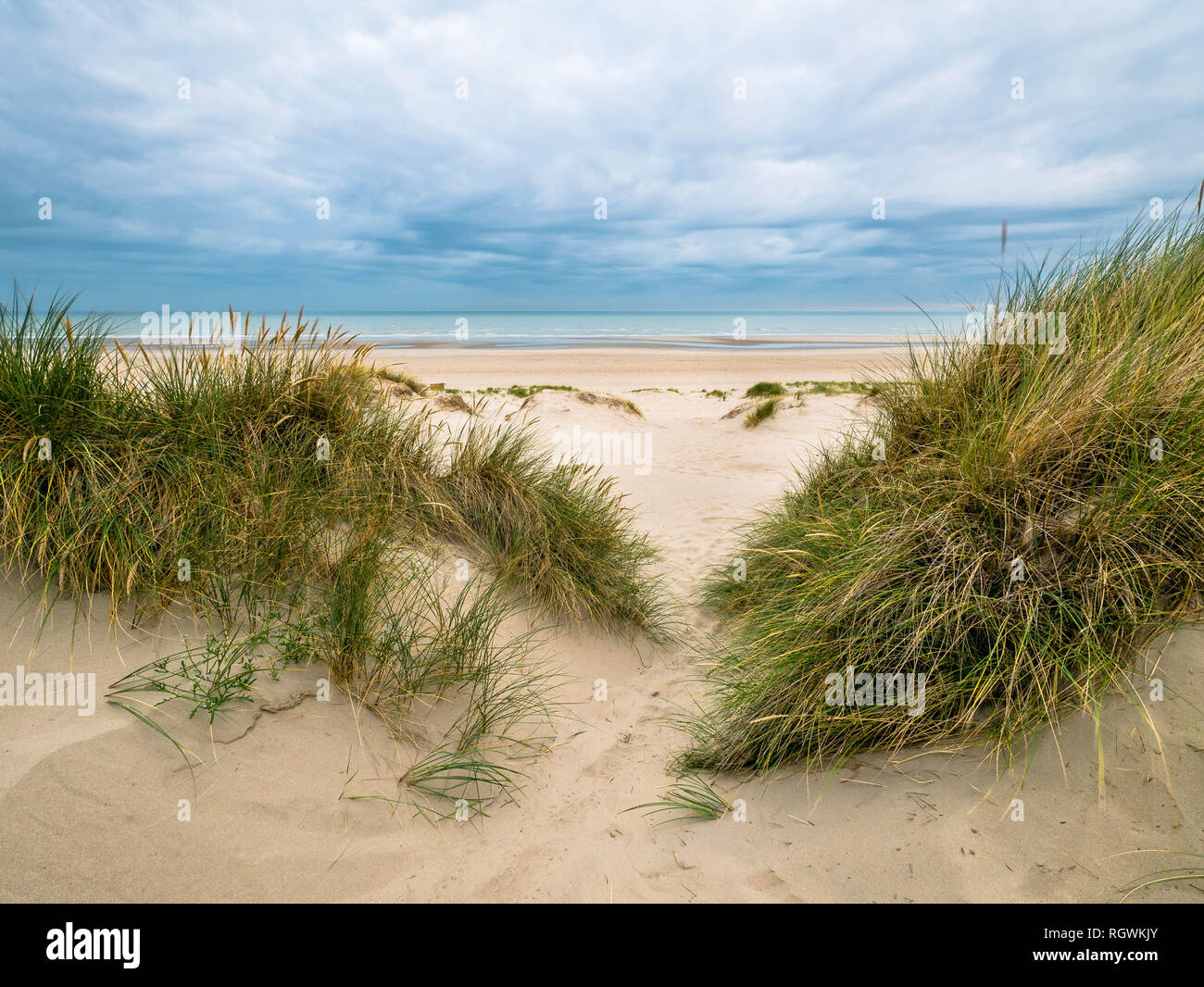 Small path leading over marram grass covered dunes towards the North Sea at Bray-Dunes Stock Photo