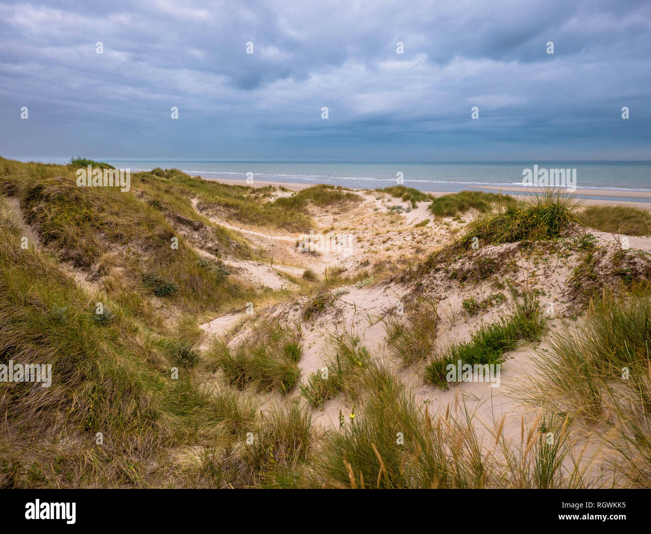Dunes with marram grass at the beach with view towards the North Sea Stock Photo