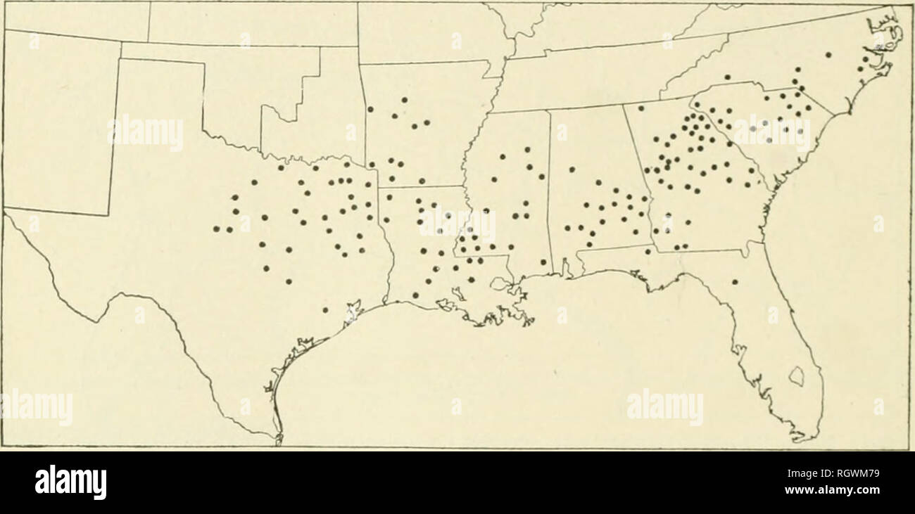 . Bulletin. 1901-13. Agriculture; Agriculture. 28 VAKIETIES OF AMERICAN UPLAND COTTON. Bachelor. A synonym of Drake Defiance. Baggett's Improved. Big-Boll Group. Alabama; Conecuh County. Developed by J. A. T. Baggett, Castleberry, Ala., by selection from Texas Storm- proof cotton. Bolls m(&gt;dium to large; seeds large, fuzzy .brownish gray. Bolls per pound, 64; seeds per pound, 3,4.50; average length of lint, 22.7 mm. (If inch), varying from 21 to 25 mm.; strength of .single fibers, 6.6 gms.; per cent of lint, 34.3. Bagley's Big-Boll. Big-Boll Group. Distribution: See map, figure 3. , In the  Stock Photo