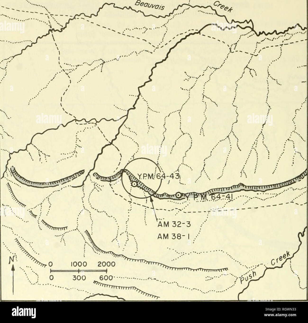 . Bulletin. Natural history. 224 YPM 64-41 NW 1/4 Sec. 21 , T.5 S. , R.28 E. , 1 mile (1, 6 km) west of Thor Lande ranch on Push Creek, Big Horn County, Montana. See Locality Map Q. Horizon: Unit VII, 8 feet (2.4 m) above Unit VI. Specimens collected: Deinonychus antirrhopus (YPM 5272, 5273); Tenontosaurus tilletti (YPM 5458).. LOCALITY MAP Q YPM 64-43 NE 1/4 Sec. 20, T.5 S. , R.28 E. , 650 yards (595 m) west of YPM 64-41, Big Horn County, Montana. See Locality Map Q. Horizon: Unit VII, 3 feet (0.9 m) above Unit VI. Specimens collected: Tenontosaurus tilletti (YPM 5464, 5477). YPM 64-47 NE 1/4 Stock Photo