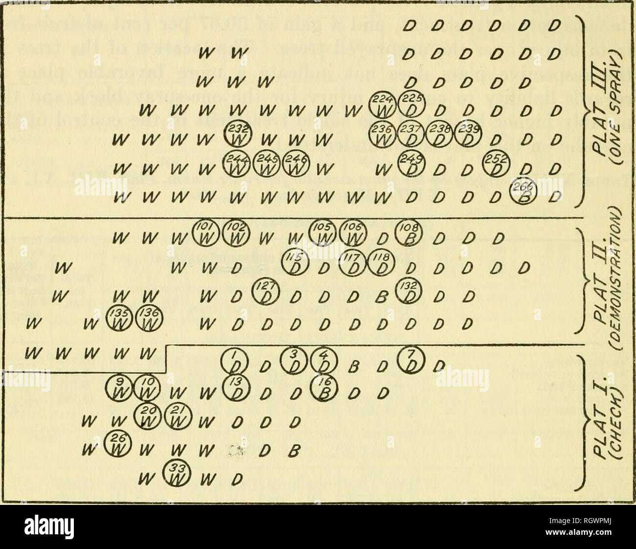 Larva counts hi-res stock photography and images - Alamy