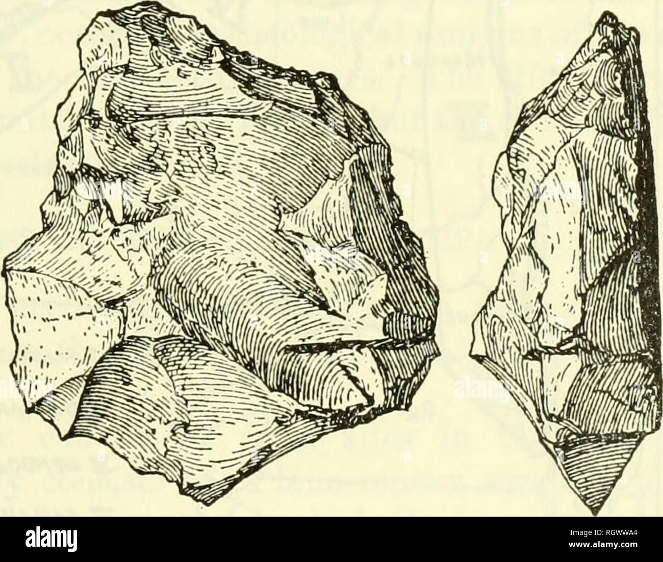 . Bulletin. Ethnology. Figure 1.—Chipped-stone work from the Buenos Aires coast. Top row: Duck-bill scrapers from Campo Peralta and Necochea. Center row and bottom (left): Plano-convex blades from Campo Peralta (% natural size). Bottom (right): Nucleus of quartzite from which flakes have been removed (% natural size). (After Holmes, 1912, flgs. 29, 31, 27.). Please note that these images are extracted from scanned page images that may have been digitally enhanced for readability - coloration and appearance of these illustrations may not perfectly resemble the original work.. Smithsonian Instit Stock Photo