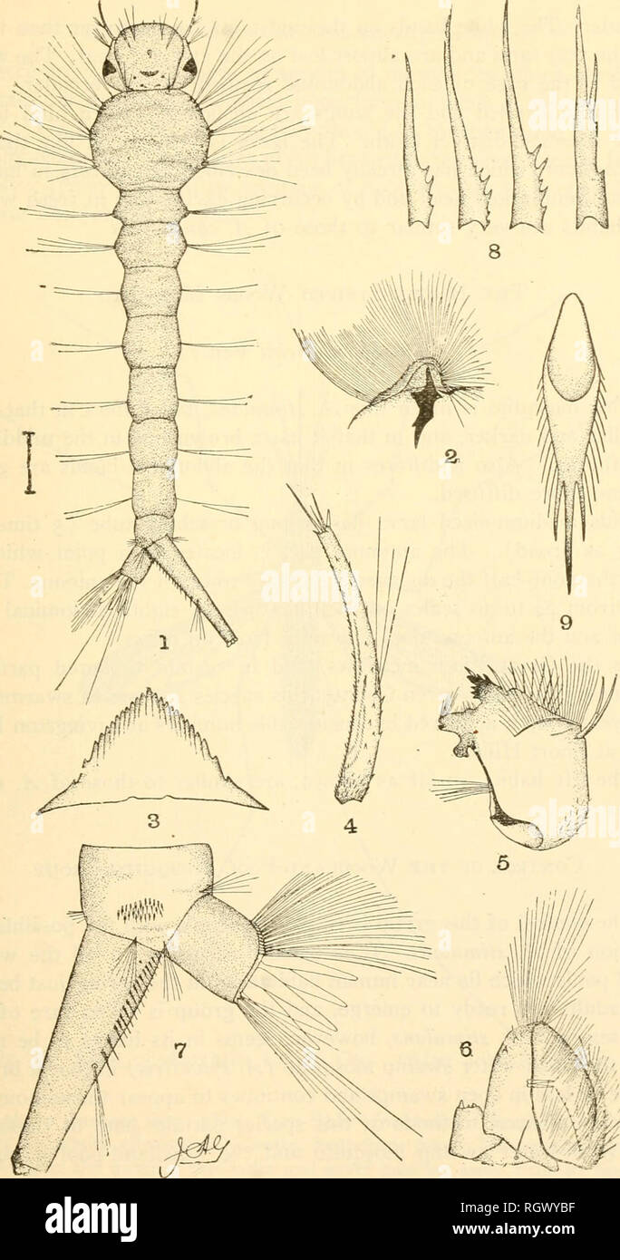 . Bulletin. Agriculture; Agriculture. The Mosquitoes of New Jersey I