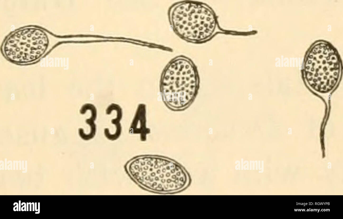 330 321 High Resolution Stock Photography And Images Alamy