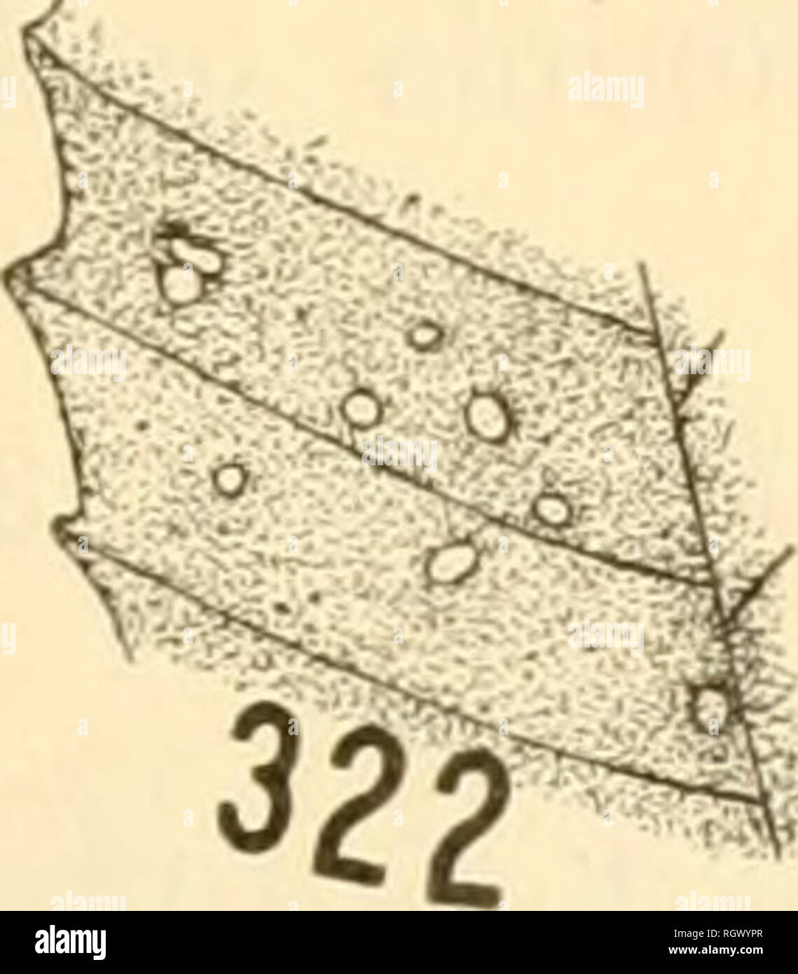 Bulletin Agriculture Agriculture 0 O 523o 0 321 0 C R 324 325 0 327 0 Cp Cb 0 O 0 O 329 0 Q 328 O 330 0