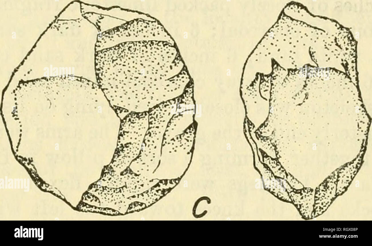 . Bulletin. Ethnology. Figure 87.—Stemmed projectile point and split ...