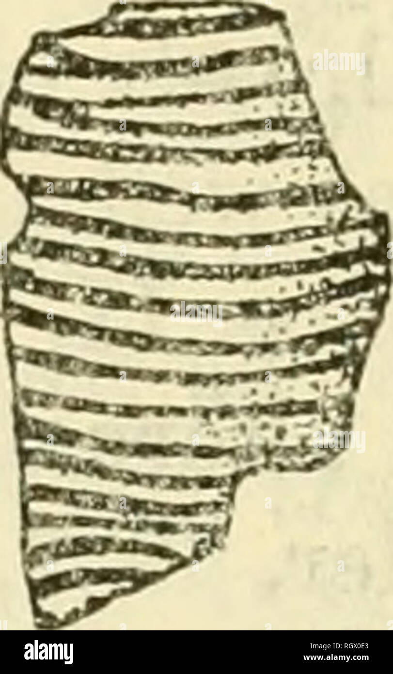 . Bulletin. Ethnology. Figure 82.—Pottery pipe fragments from Scott County site, 14SC1, showing Rio Grande Pueblo influence in decoration or bit elaboration (^r). Actual size. 69, 6, (USNM 386878) is of interest further because of the well-made offset of about 4 mm. at the end of the bowl. The elaborate stem in plate 69, d, (USNM 386842) has already been noted. Not shown is a heavily caked bowl fragment (USNM 386972) with about 20 closely set but unevenly spaced parallel lines that apparently encircled the pipe; and a smaller piece (USNM 386808) with 5 parallel encircling lines. The three ston Stock Photo