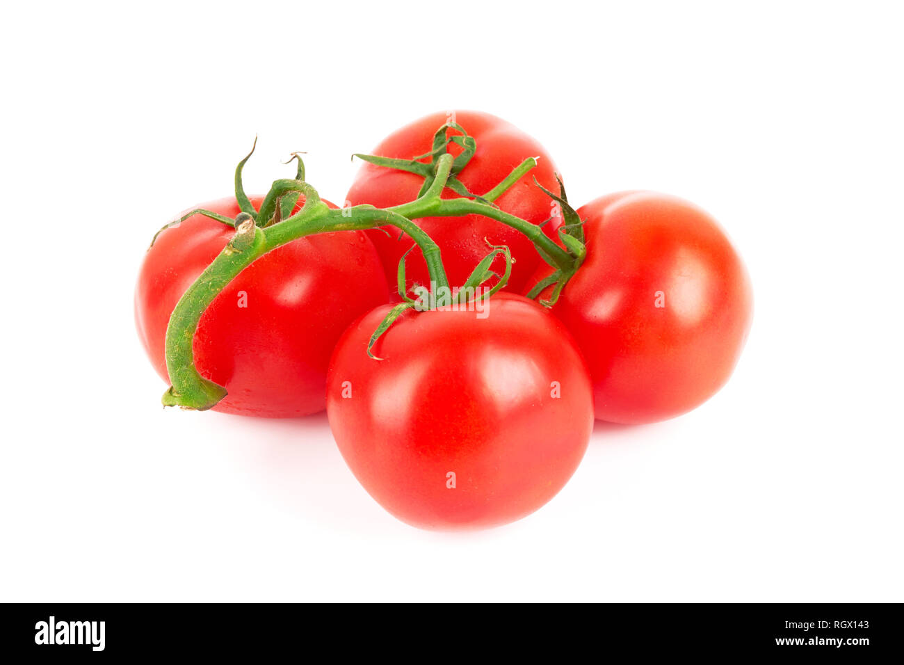 Closeup of tomatoes isolated on the white background Stock Photo - Alamy