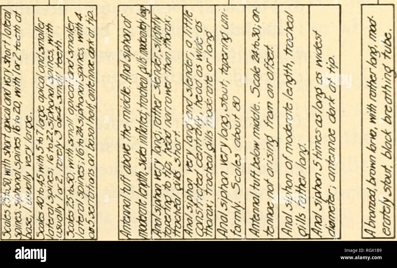 Page 4 Iml 1 High Resolution Stock Photography And Images Alamy