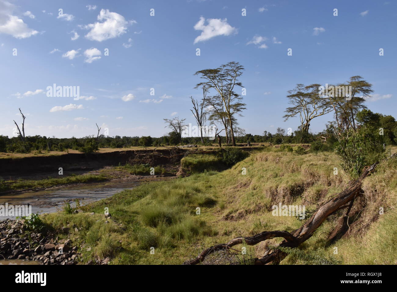 African Landscape Shot Stock Photo