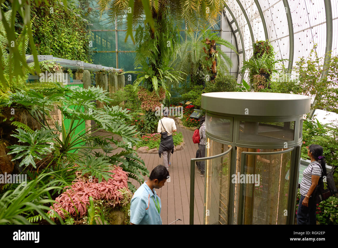 SINGAPORE CIRCA NOVEMBER, 2015 inside Butterfly Garden at Changi