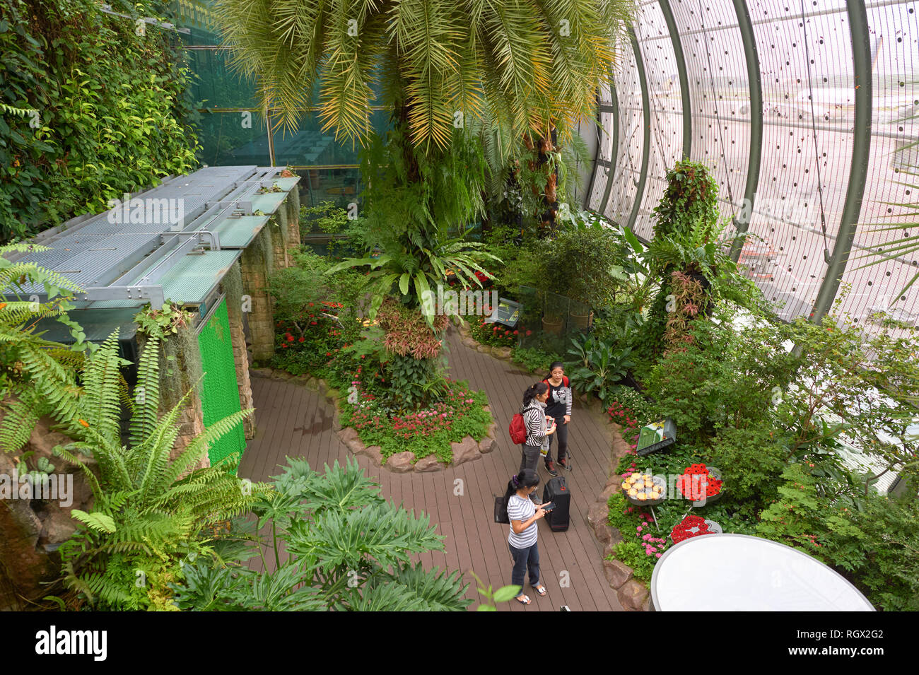 SINGAPORE CIRCA NOVEMBER, 2015 inside Butterfly Garden at Changi
