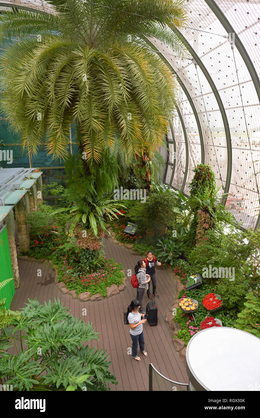 SINGAPORE CIRCA NOVEMBER, 2015 inside Butterfly Garden at Changi