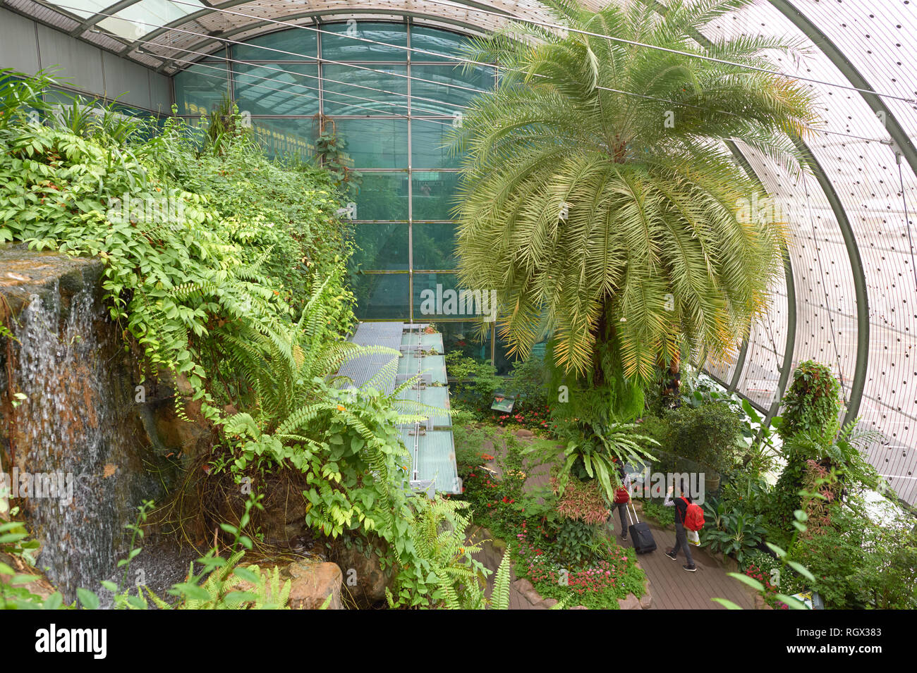 SINGAPORE CIRCA NOVEMBER, 2015 inside Butterfly Garden at Changi