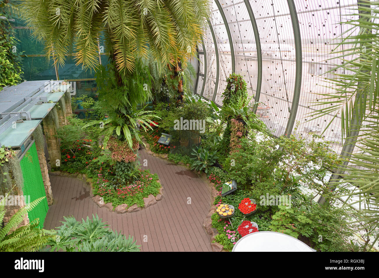 SINGAPORE CIRCA NOVEMBER, 2015 inside Butterfly Garden at Changi