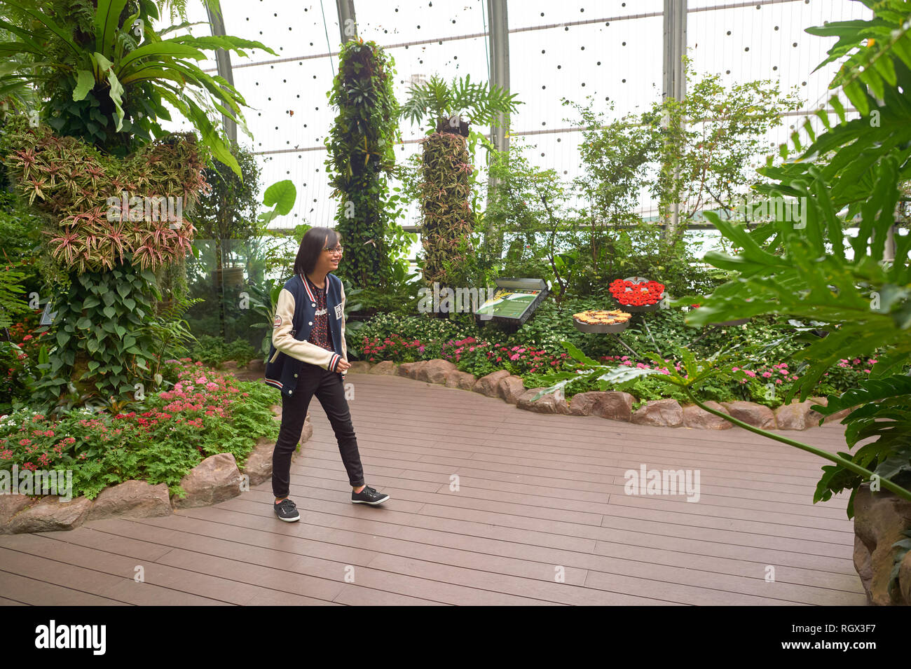 SINGAPORE CIRCA NOVEMBER, 2015 inside Butterfly Garden at Changi