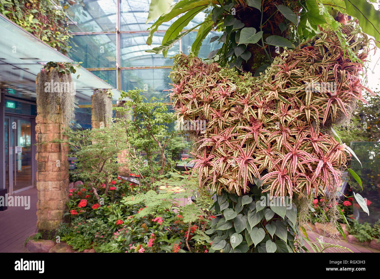 SINGAPORE CIRCA NOVEMBER, 2015 inside Butterfly Garden at Changi