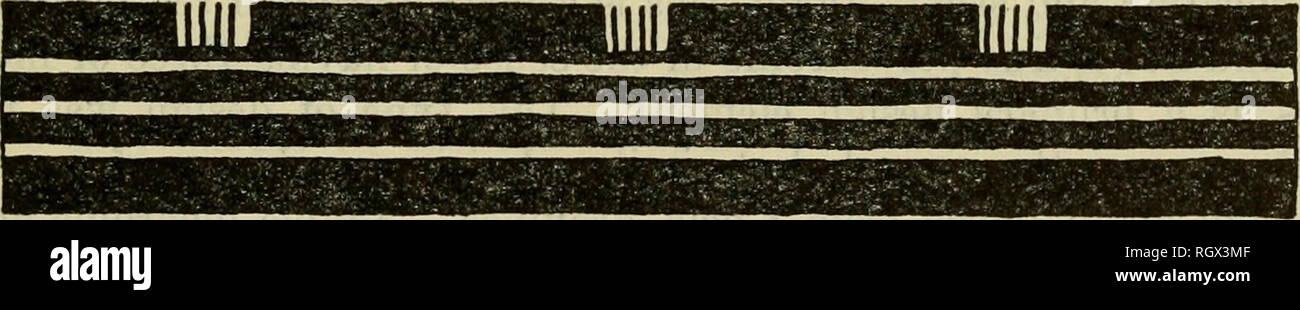 Page 3 Jar Burial High Resolution Stock Photography And Images Alamy