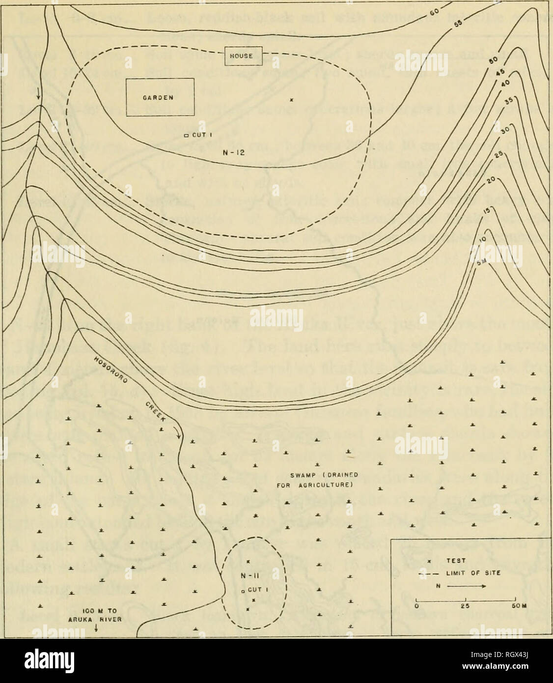 . Bulletin. Ethnology. Evans and Meggers] ARCHEOLOGY IN BRITISH GXHANA 69. Figure 21.—Sketch map showing the location of N-11: Hosororo Creek, a shell midden of the Alaka Phase, and N-12: Hosororo Hill, a habitation site of the Mabaruma Phase. majority of trees, leaving a few for shade. Sherds were visible in the cultivated garden and in paths leading down the hillside. Tests in the intervening and surrounding area indicated that a former habitation site occupied the major part of the shelf, extending over an approximately oval area 160 meters in a nortli-south direction by 95 meters east-west Stock Photo