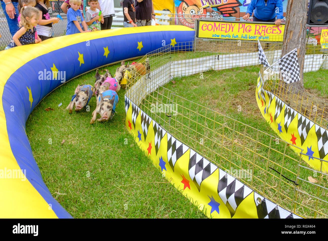 Kids and adults watching piglets racing, running around race circuit, having fun at pig racing at Australian country agricultural show, NSW, Australia Stock Photo