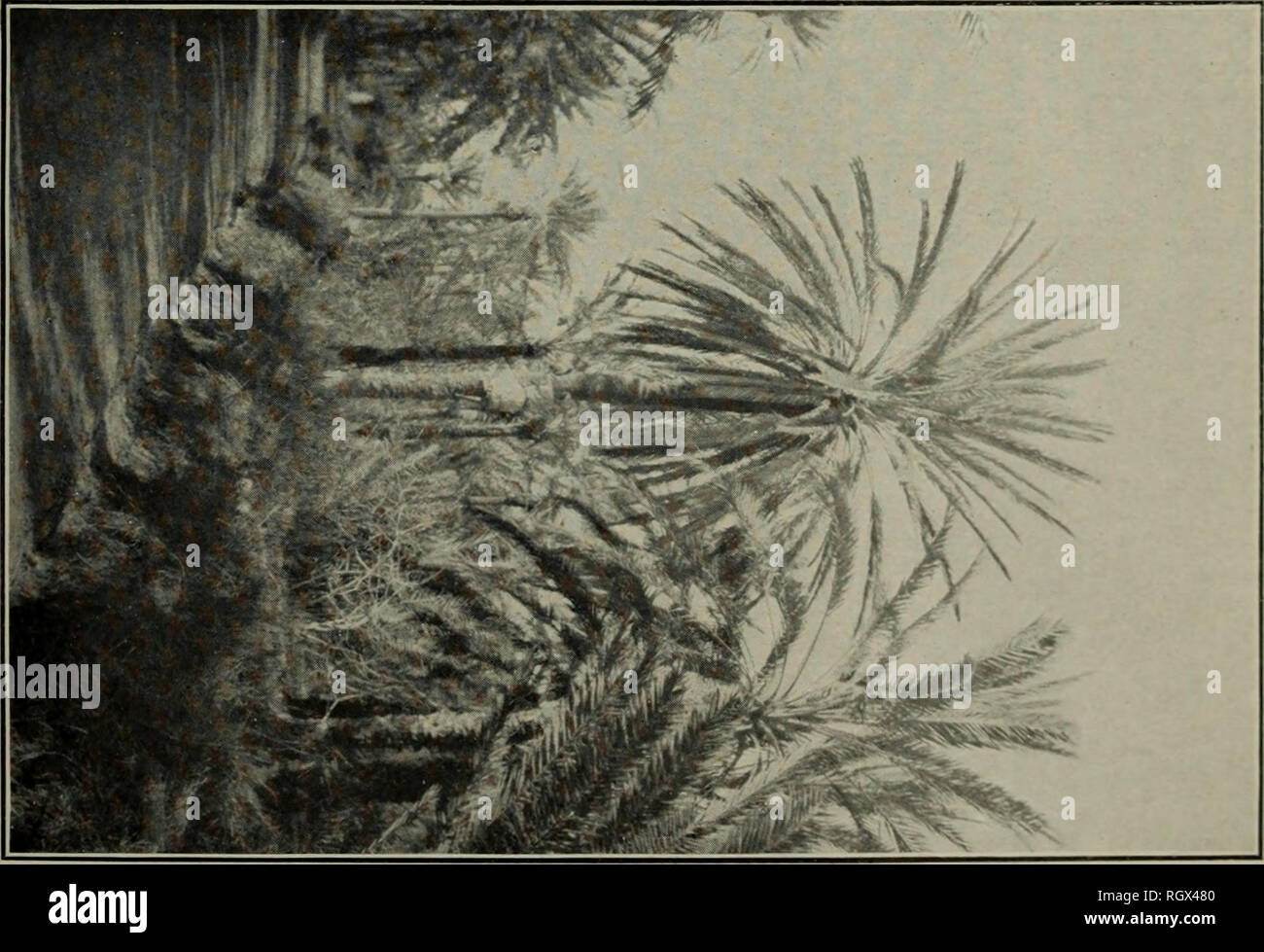 Page 10 D M Z High Resolution Stock Photography And Images Alamy