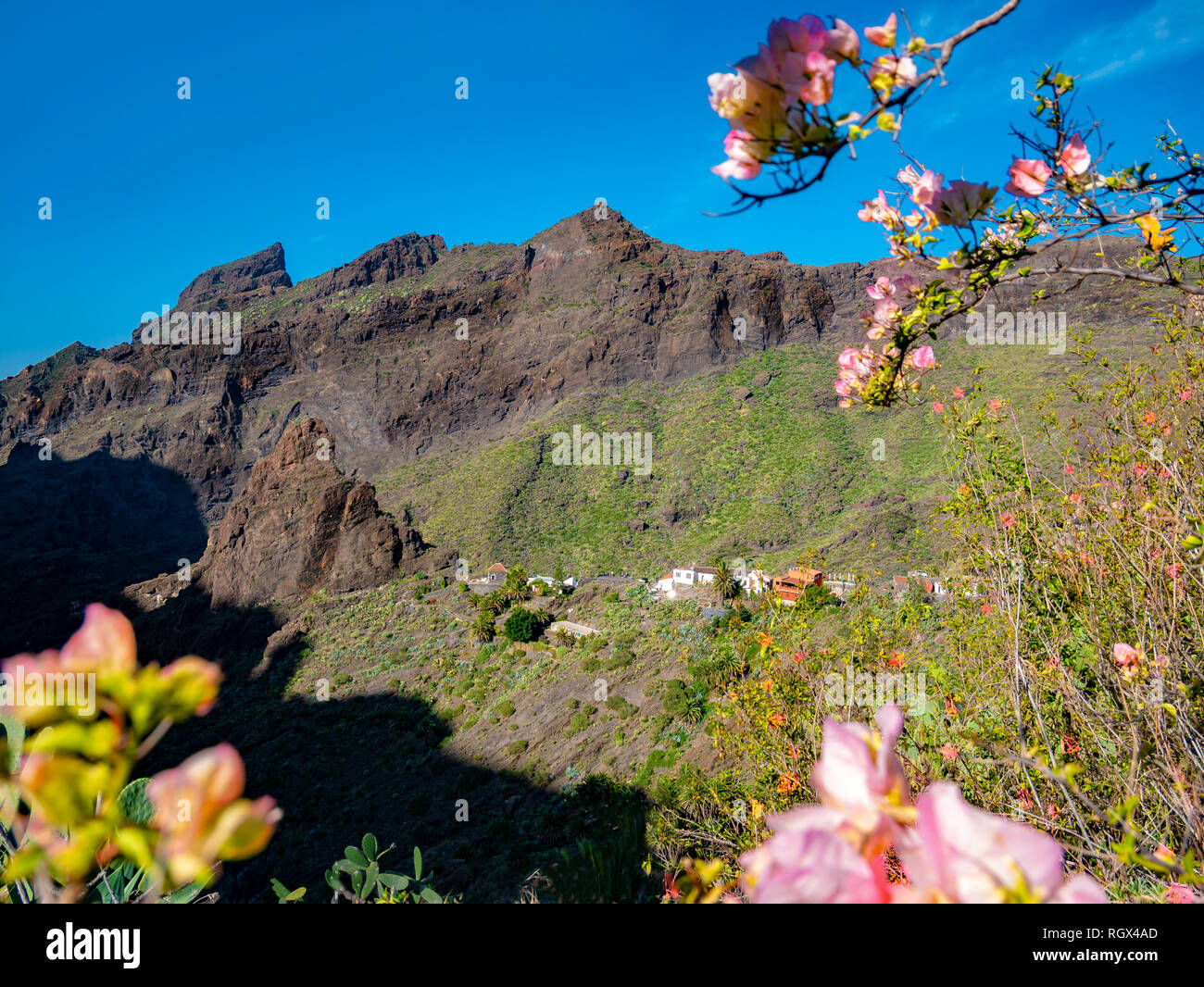Beautiful landscape over the famous Masca village surrounded by flowers in spring season, in Tenerife island Stock Photo
